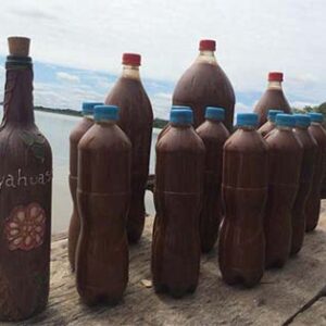 Ayahuasca Tea
