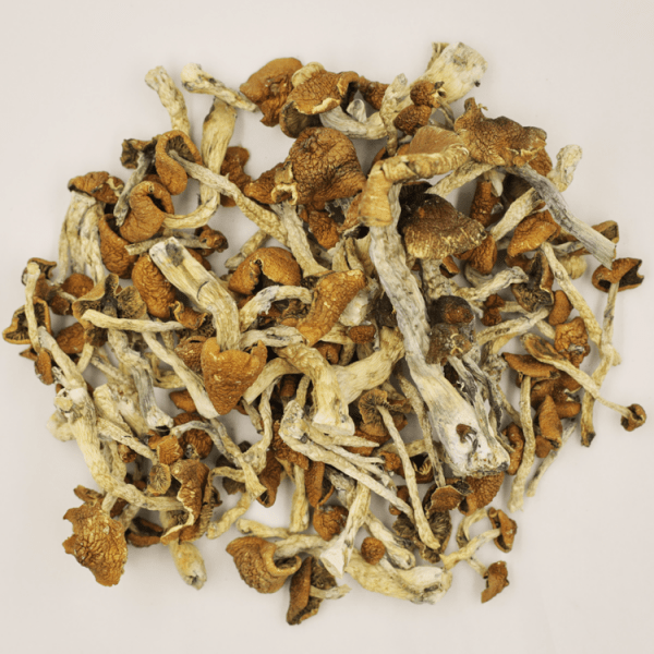 mushrooms psychedelic for sale