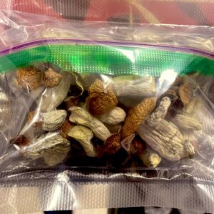 magic mushrooms uk