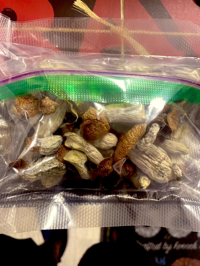 magic mushrooms uk